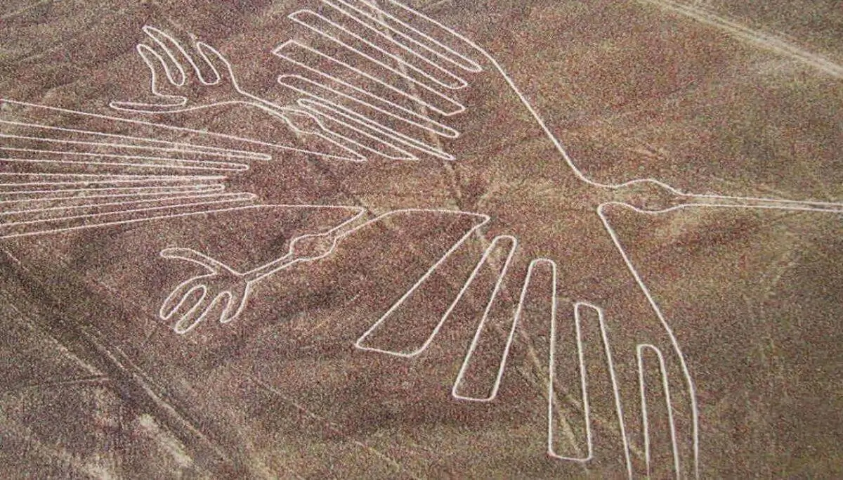 nazca lines colibri